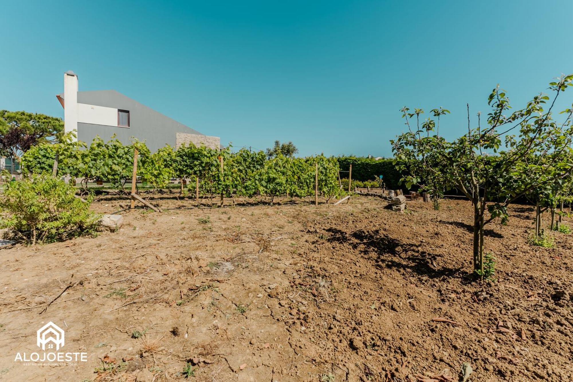 Villa Páteo Sagaipo Lourinhã Esterno foto